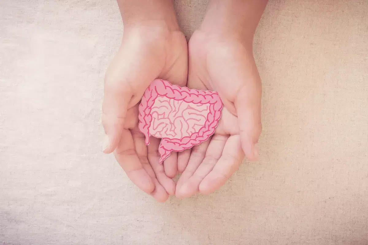 Woman holding a pink model of the gut in her hands, symbolizing the importance of probiotics for gut health